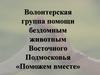 Волонтерская группа помощи бездомным животным Восточного Подмосковья «Поможем вместе»