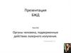 Органы человека, подверженные действию лазерного излучения