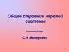 Общее строение нервной системы