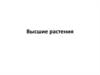 Высшие растения