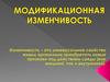 Модификационная изменчивость