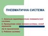 Пневматична система