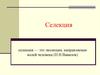 Селекция. Основные направления селекции