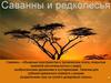 Саванны и редколесья