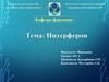 Интерфероны. Технологическая схема производства интерферона