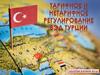 Тарифное и нетарифное регулирование ВЭД Турции