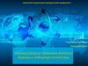 Международно-правовые вопросы борьбы с киберпреступностью
