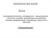 Физиология боли. (Лекция 7)