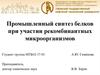 Промышленный синтез белков при участии рекомбинантных микроорганизмов