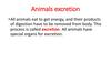 Animals excretion