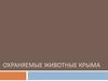 Охраняемые животные Крыма