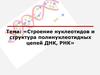Строение нуклеотидов и структура полинуклеотидных цепей ДНК и РНК
