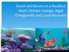 Doom and Boom on a Resilient Reef: Climate Change, Algal Overgrowth and Coral Recovery