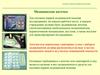 Оказание первой медицинской помощи. Медицинская аптечка