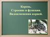 Корень. Строение и функции. Видоизменения корней