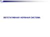 Вегетативная нервная система