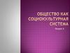 Общество как социокультурная система