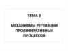 Механизмы регуляции пролиферативных процессов клетках