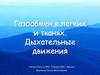 Газообмен в легких и тканях. Дыхательные движения
