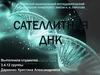 Сателлитная ДНК