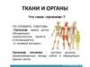Ткани и органы