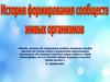 История формирования сообществ живых организмов