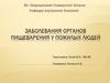 Заболевания органов пищеварения у пожилых людей