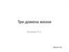 Три домена жизни. Происхождение жизни. От туманности до клетки