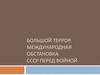 Большой террор. Международная обстановка СССР перед войной