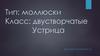 Тип: моллюски. Класс: двустворчатые. Устрица