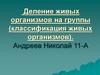 Деление живых организмов на группы (классификация живых организмов)