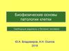 Свободные радикалы и болезни человека