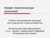 Новая политическая экономия