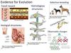 Evidence for Evolution