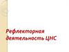 Рефлекторная деятельность ЦНС