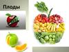 Плоды. Типы плодов