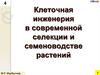 Клеточная инженерия в современной селекции и семеноводстве растений