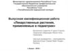 Лекарственные растения, применяемые в педиатрии