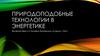 Природоподобные технологии в энергетике