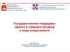 Государственная поддержка малого и среднего бизнеса в виде микрозаймов