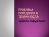 Проблема поведения в теории поля: модель окружения