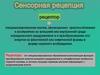 Сенсорная рецепция