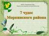 Семь чудес Моркинского района