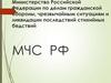 МЧС Российской Федерации