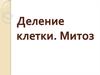 Деление клетки. Митоз