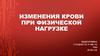 Изменения крови при физической нагрузке