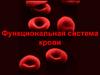 Функциональная система крови