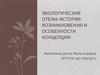 Экологические отели: история возникновения и особенности концепции