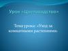 Уход за комнатными растениями