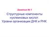 Структурные компоненты нуклеиновых кислот. Уровни организации ДНК и РНК